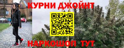 прущие грибы Обнинск