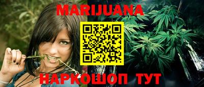 прущие грибы Обнинск