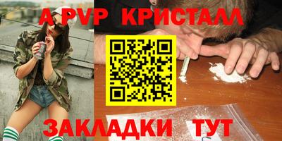 прущие грибы Обнинск