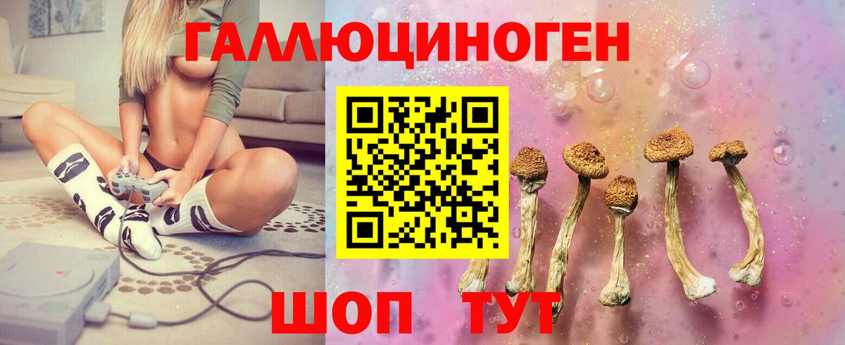 Галлюциногенные грибы MAGIC MUSHROOMS  Вход с VPN  Галлюциногенные грибы прущие грибы  Ростов-на-Дону 
