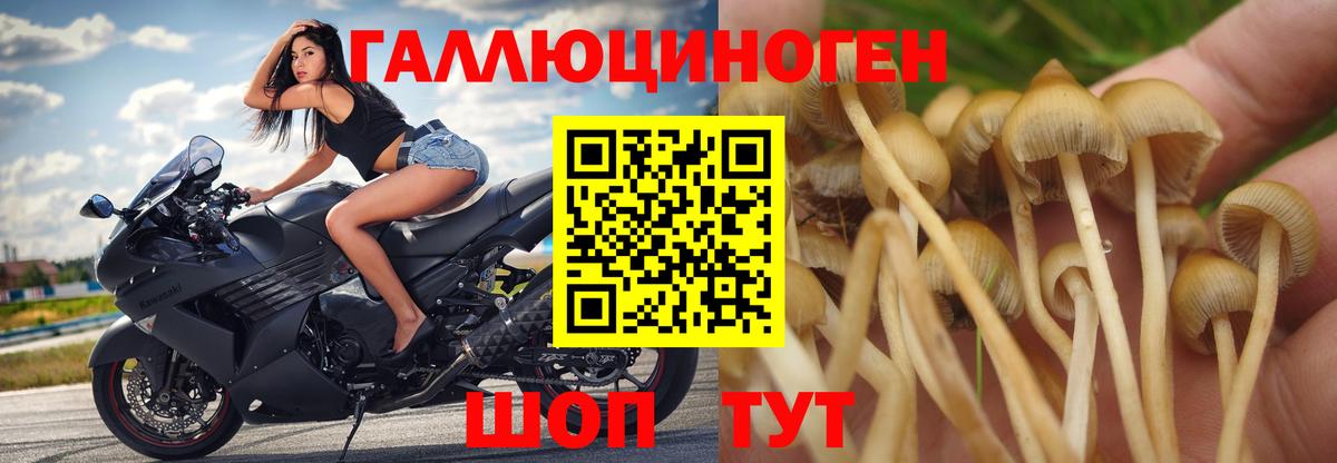 Псилоцибиновые грибы Magic Shrooms Ростов-на-Дону